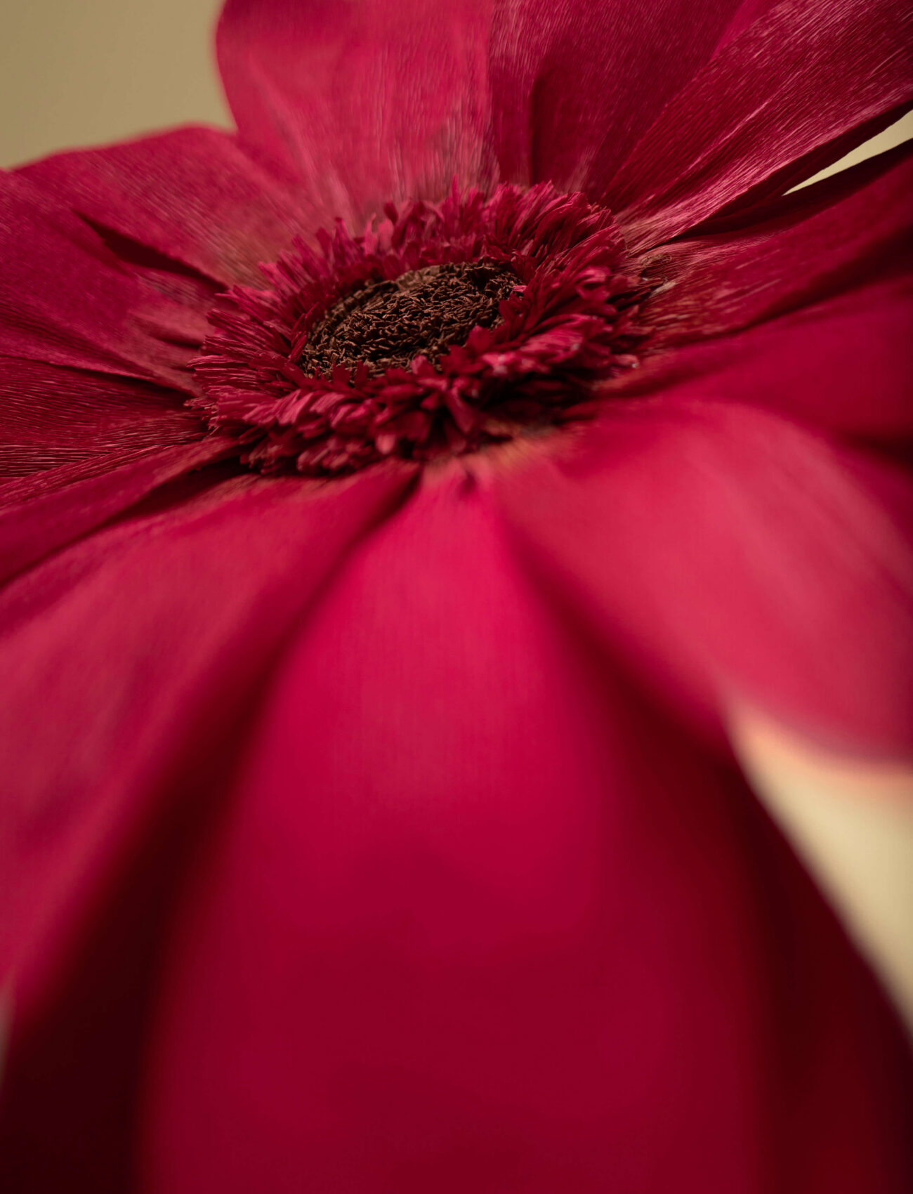 Signature Gerbera hover_image