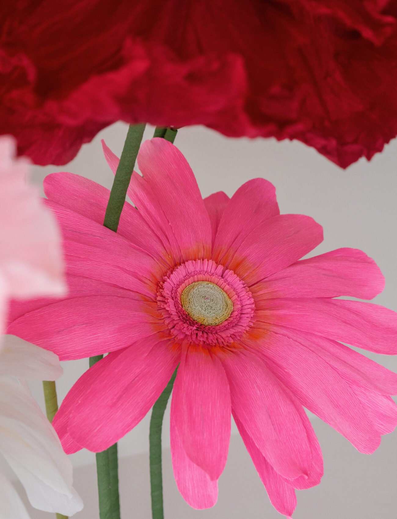 Signature Gerbera